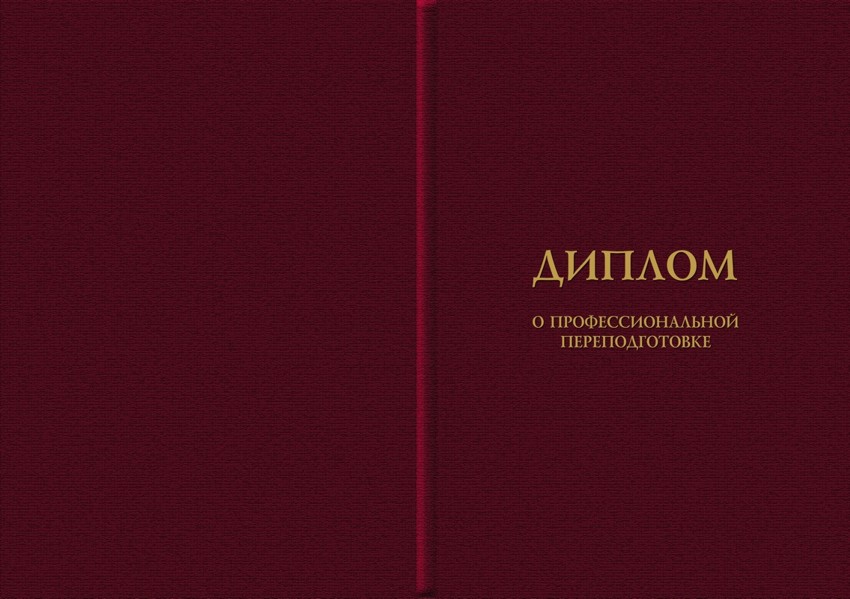 diplom3